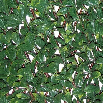 umělý živý plot TENAX Divy X-Tens Osmanthus 1 x 2 m