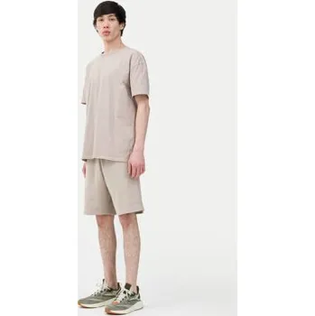 Dámské kraťasy 4F Sportovní kraťasy 4FWSS24TSHOM342 Béžová Regular Fit XL