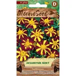 MoravoSeed Aksamitník nízký jednoduchý…