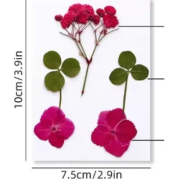 PourArt Sušené květiny SADA HAR-375 arch 100x75mm