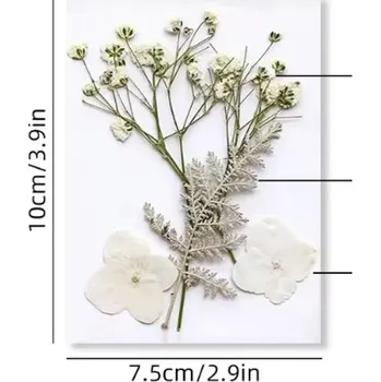 PourArt Sušené květiny SADA HAR-360 arch 100x75mm