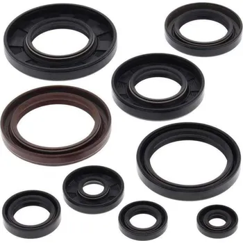 Těsnění motoru Winderosa sada gufer motoru Yamaha YFM660 Grizzly 02-08