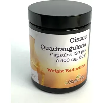 Indická bylina na spalování tukových zásob