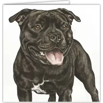 Přání v obálce Stafordširský bulteriér černý, WD 16,5 x 16,5 cm (Blahopřání s obálkou s pejskem, psi, pes)