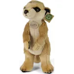 Rappa Eco-Friendly 30 cm