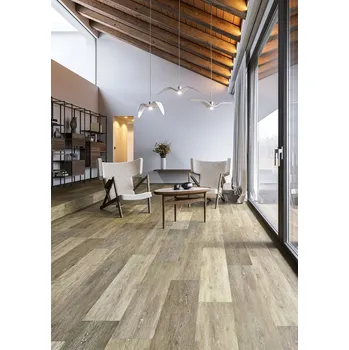 vinylová podlaha Vinylová podlaha Economy Vinyl 4301