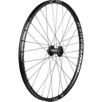 Zapletené kolo Zapletená kola 29" Bontrager Line DH 30 - přední 110x20mm BOOST