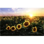 Obrázek BD560 - SLEVA 3% s kodem radost25