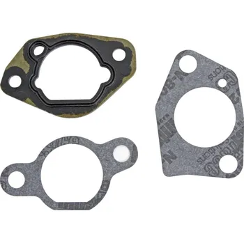 Castelgarden, Stiga Sada těsnění karburátoru Castel garden, Stiga 118550217/1