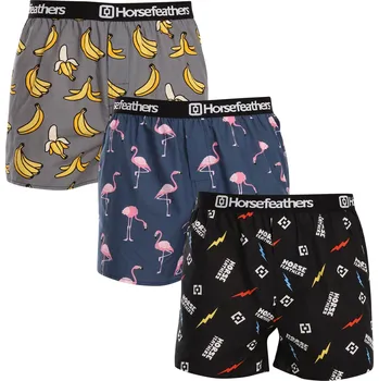 Trenýrky 3PACK pánské trenky Horsefeathers Frazier Bundle 6 (AM096I) S Možnost vrácení zboží ZDARMA do 120 dnů!