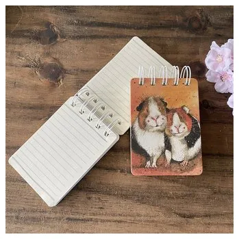 Set školních potřeb Kołonotes A7 SSN58 Świnki morskie