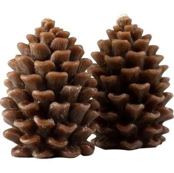 Svíčka PKSolvent Q-Home svíčka Borová šiška 110 g 2 ks