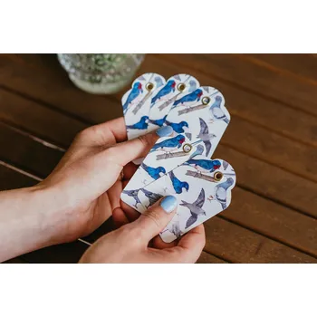 Jmenovka na stůl ePiPí Jmenovky 5ks - Ptáci z města 50x75 mm