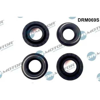 Těsnění motoru Dr. Motor DRM069S