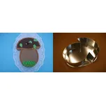 Dortová forma hřib 32x7,5cm Jakub Felcman