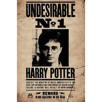 Plakát Plakát, Obraz - Harry Potter - Undesirable no.1