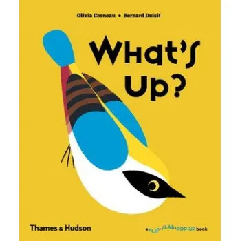 Umění What's Up? – Olivia Cosneau,Bernard Druisit (EN)