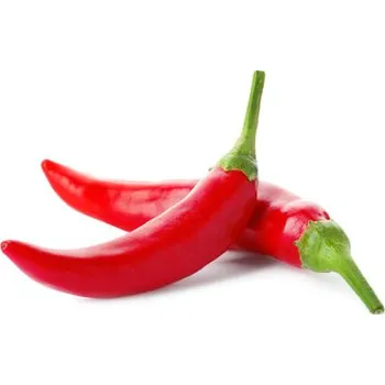 Semeno Semínka Piquant Paprička chilli SALTILLO