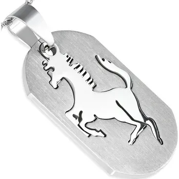 Přívěsek Ocelový přívěsek - PAC250BA