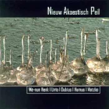 Zahraniční hudba CD Wè-Nun Henk: Nieuw Akoestisch Peil 2014