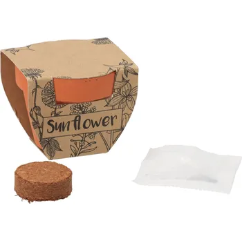 Květináč ČistéDřevo Malý květináč se semínky slunečnice