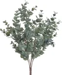 Eukalyptus trs 47 cm zelenošedý