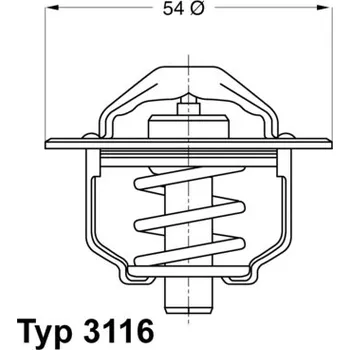 Auto-moto Termostat, chladivo BORGWARNER 3116.82D