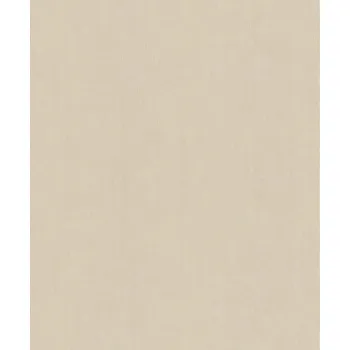 Tapeta Vliesové tapety RASCH Concrete (2024) 521450, vliesová tapeta na zeď, (0,53 x 10,05 m)