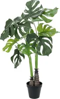 EuroPalms Monstera Deliciosa 90 cm