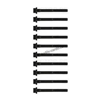 Těsnění motoru Sada šroubů pro hlavy válcu VICTOR REINZ (VR 14-35731-01)