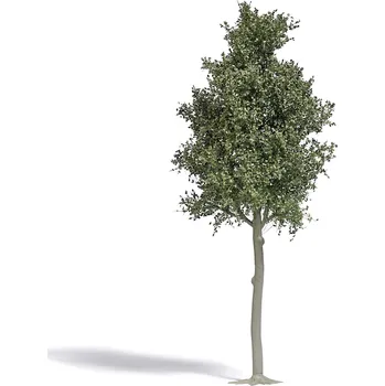 Modelová železnice Busch 3798 strom buk 1 ks