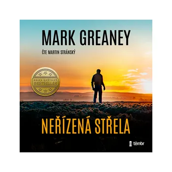 Neřízená střela MP3 download