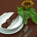 Nešpinivý / teflonový látkový ubrus UNI 0368 HNĚDÁ, 140x220cm (obdélník)