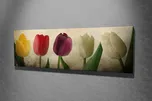 ASIR Obraz na plátně 30 x 80 cm tulipány
