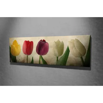 Obraz ASIR Obraz na plátně 30 x 80 cm tulipány
