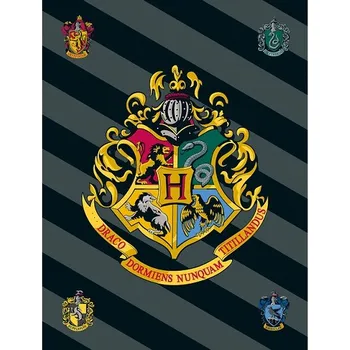 Dětská deka Jerry Fabrics Fleecová deka Harry Potter 100x150