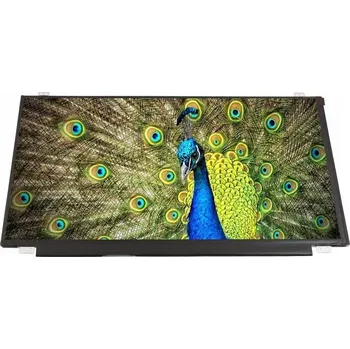 Náhradní displej pro notebook LCD LESK HD TOSHIBA L50-B-17C L50-B-180 (LCD LED TN lesklý 15,6 " 1366 x 768 005)