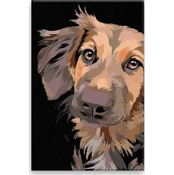 Dětské zboží Malování podle čísel - Psí oči 02 - 40x60 cm, bez dřevěného rámu - CZ výroba