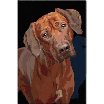 Dětské zboží Malování podle čísel - Psí oči - 40x60 cm, bez dřevěného rámu - CZ výroba