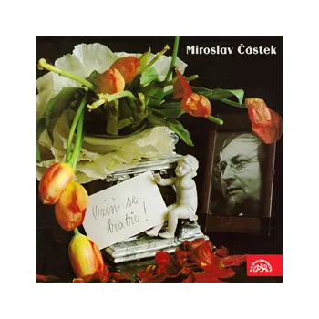 Ožeň se, bratře - Miroslav Částek: Audiokniha MP3