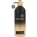 Montale Paris Spicy Aoud U EDP 100 ml