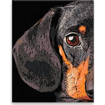 Malování podle čísel - Jezevčík Dobby - 40x50 cm, bez dřevěného rámu - CZ výroba