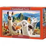 Castorland Puzzle Lamí selfie 1000 dílků