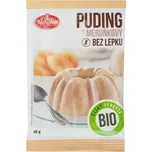 Amylon Pudink meruňkový s kousky ovoce bezlepkový BIO 40 g