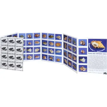 Pexeso Pexeso - Mořské mušle I.