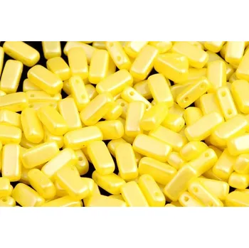 Korálek Dvoudírkové obdélníčky č. 53