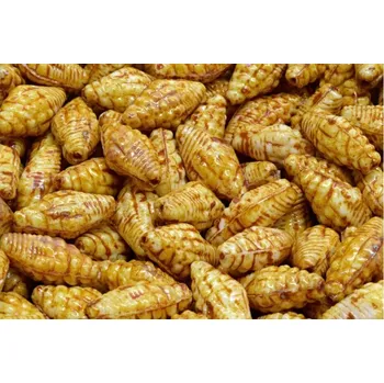 Korálek Mušle Miter č. 2352 (16X8mm)