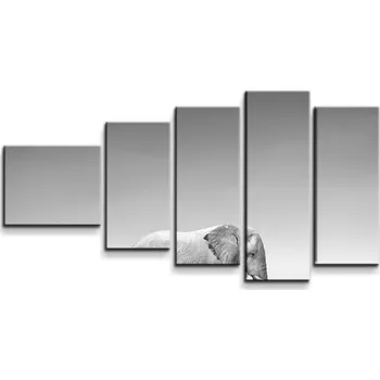 Obraz Sablio Obraz - 5-dílný Slon a zebra - 100x60 cm