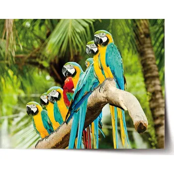 Plakát Sablio Plakát Papoušci na větvi - 60x40 cm