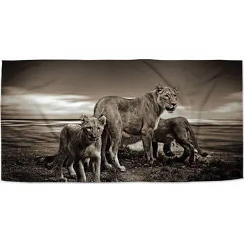 Sablio Ručník Lvice a lvíčata - 30x50 cm